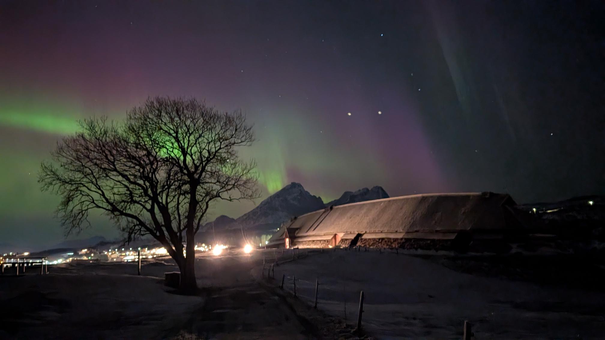 Viking dinner - Winter